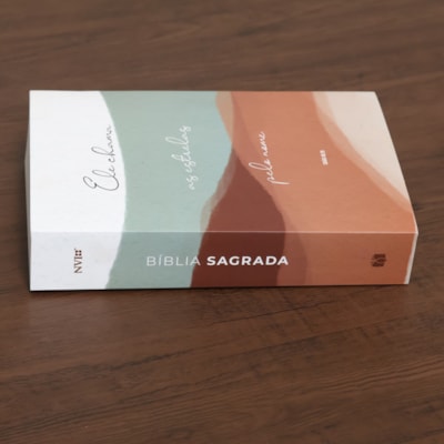 image_15eaa616-105b-4e1b-ae87-29c80e25dc45