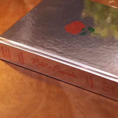 image_02947571-503e-4688-8d0f-d3f021570d16