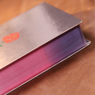 image_9ad4eab6-c681-41d4-8821-8cf7133ad1d6