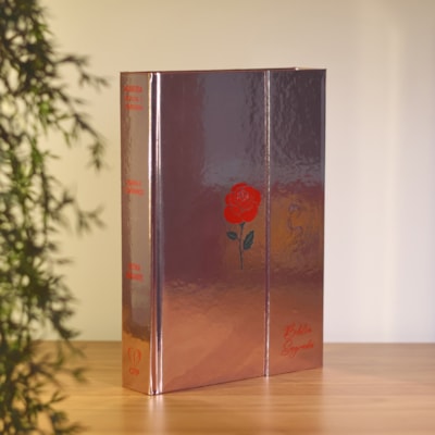 image_8b0f0d64-0d94-44f9-8ed0-a59a13be69bd