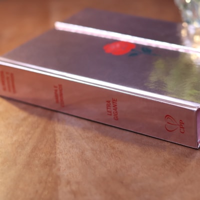 image_e4f9c6c6-a28d-494a-8288-b4e9f20c909c