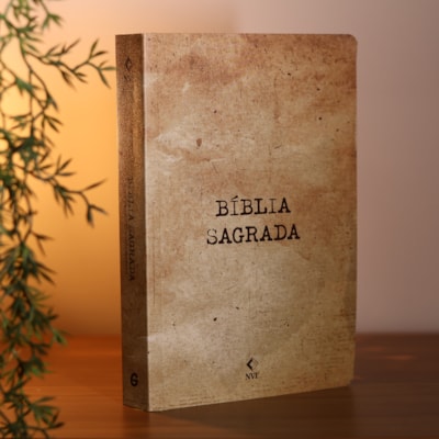 image_488696e8-62e6-413c-9df6-a7e61dfdfc2d