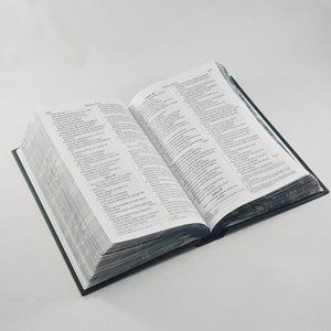 Bíblia Sagrada Moldura Azul | NVI | Letra Gigante | Capa Dura