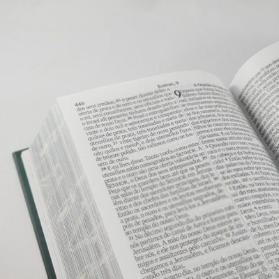 image_025eb1e0-916b-4811-907d-b0531b22db34