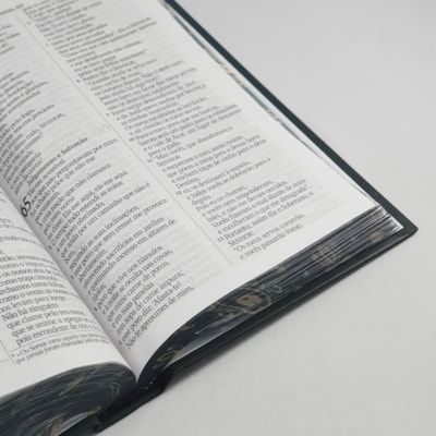 image_3fc327b7-1619-449c-a159-8b4a199a6ac6