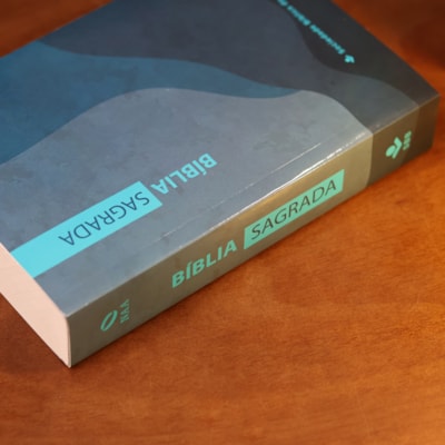 image_e9facfd2-871a-4a2f-98cf-ac3e97f1944b