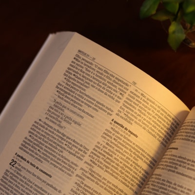 image_b58cd84e-c7bc-4303-8527-de6614630ab3