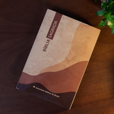 image_f3505236-0319-4bf4-9b42-3b6193eb1a6b