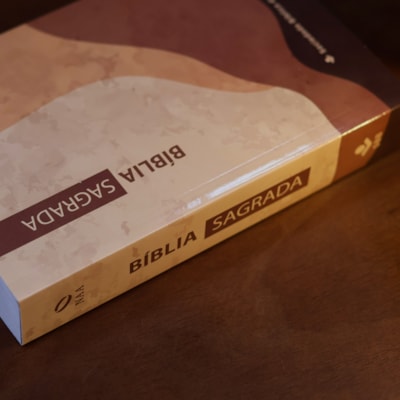 image_e8840cda-5ac5-4190-ab66-ba080bc6a8e8