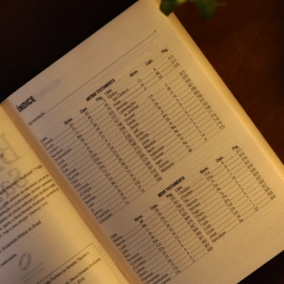 image_c91d33e7-1e41-4b96-8dda-eeb4eee7f480