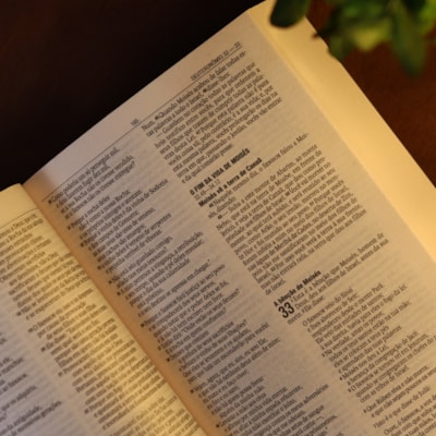 image_9ccc6b3f-96d5-4c90-a892-e4ab45230998