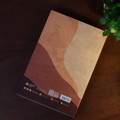 image_f43ff866-47b2-42ff-bae6-64eec8129229