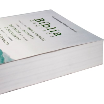 image_ac94bded-a579-4042-9c9e-55ce865ef0b0