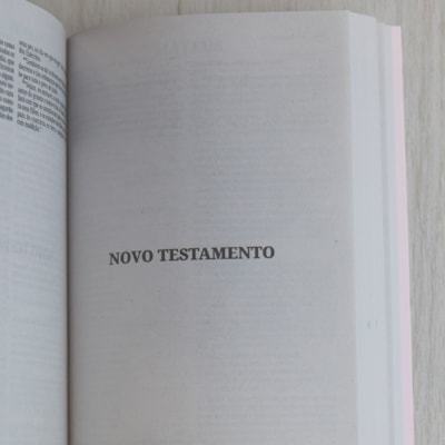 image_731e1d9b-71ae-4727-9ad4-3523a527abc2