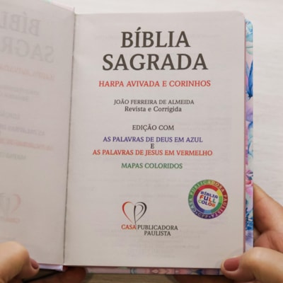 image_42a86797-336d-4868-9506-6efe3476dd59