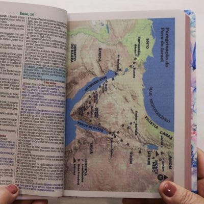 image_214a1d7f-f7e9-4f6c-a458-af4a4c833dc7