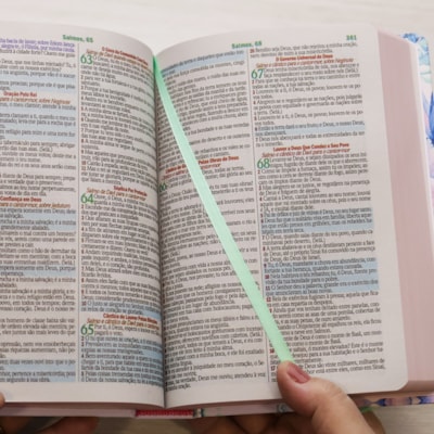 image_c3bacdef-c435-4342-965e-41b9799bb44c