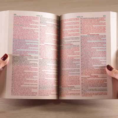 image_302dc6e6-5a2c-42a3-a305-442316e684c5