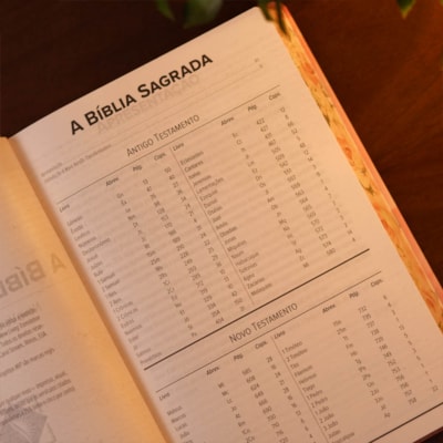 image_b31517db-bd9c-4c1a-af3d-29e8ab69af3f