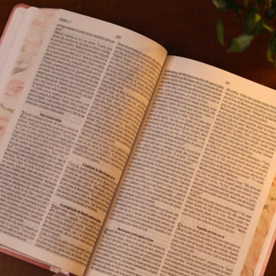 image_0a5326af-2e71-4d10-bc9d-390f08bec2e9