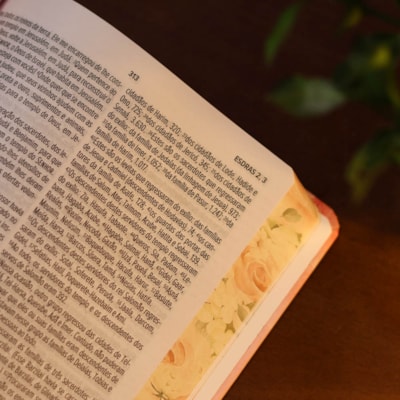 image_559f2077-1a5c-46a6-b3d8-33ace85e7516