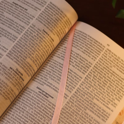 image_76763f4c-32c4-4016-9e83-58f472581ad6