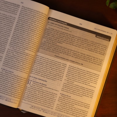 image_63ef9d78-faa1-4beb-8d29-bcff3588c06d