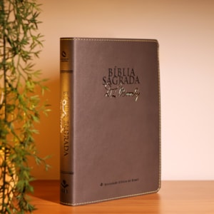 Segunda imagem do produto Bíblia Sagrada | NAA | D.L. Moody | Cinza