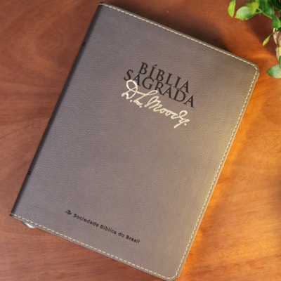 image_20a6e966-bd52-454f-8fad-2559b851138a