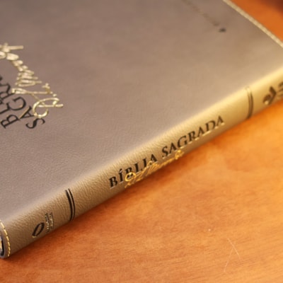 image_3c04a3ba-40d0-4cb8-a9b7-82b14a052406