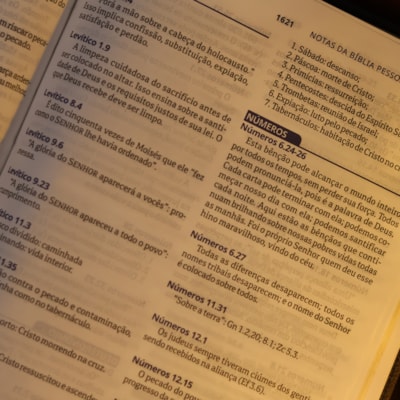 image_57f74bab-7b9d-4ea4-b51a-a46ac36acd59