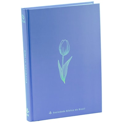 Imagem Principal - 331cd260-be66-4b34-93c8-f915a3e79726