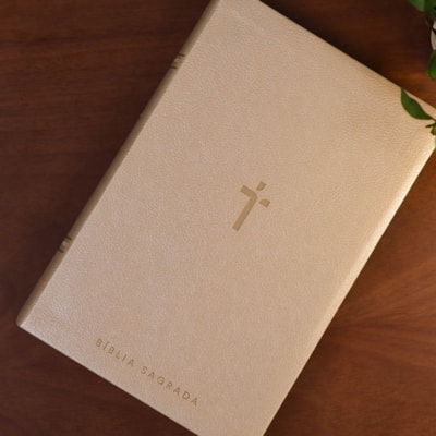 image_ed510f67-0d24-4e4b-913e-60798e02325e