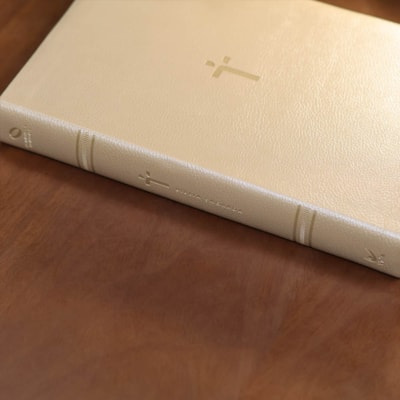 image_cbe893d8-7d9e-46df-b07a-c00de6a6a31a