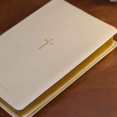 image_15d7f800-b21d-4de2-a416-2895af799081