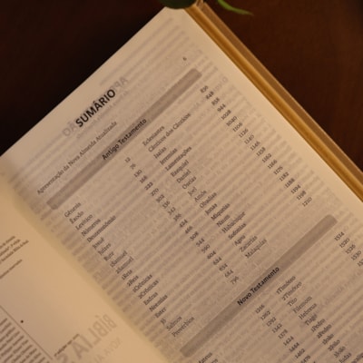 image_aa99fed2-5602-42f8-a5a9-b8e75d4430a0