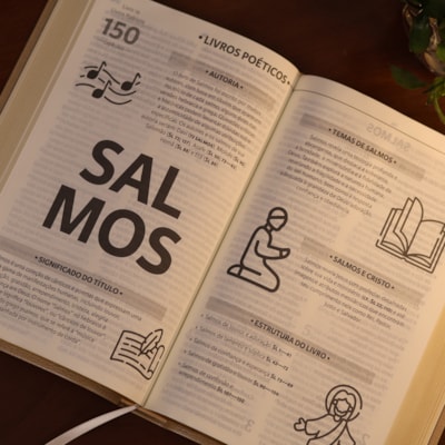 image_29c2f4af-a964-4f55-b279-384ed45dfb0d