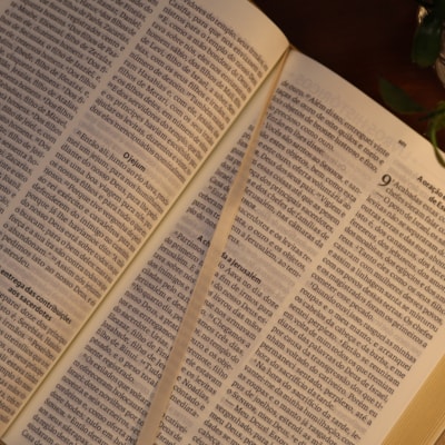 image_1d496b7a-394e-4229-b4fb-09fb7a30f7a4