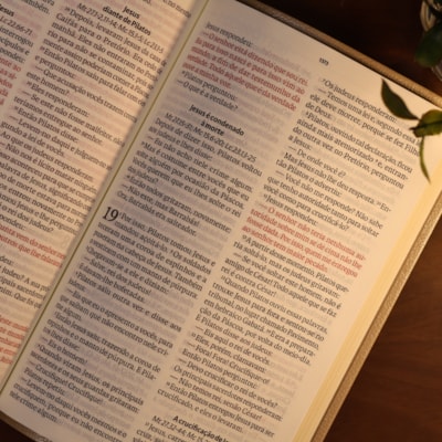 image_24d7ad7d-07ab-485f-ab3c-4f1fa601c29a