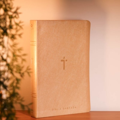 Segunda imagem do produto Bíblia Sagrada | NAA | Letra Gigante | Bege Com Índice