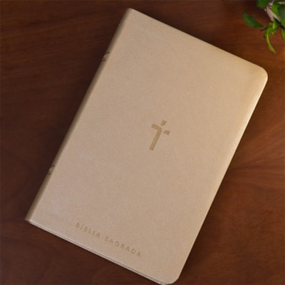 image_cd0449e4-45da-4c61-9d25-c812cafcd19a