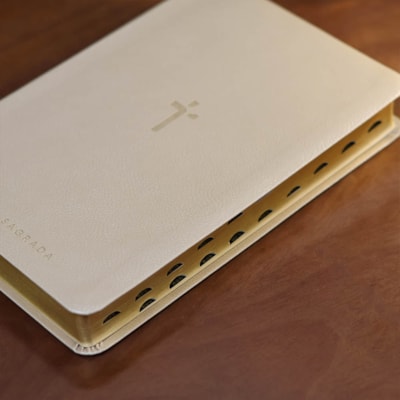 image_9815ebcc-6040-429d-ad9a-955a9192b7bd