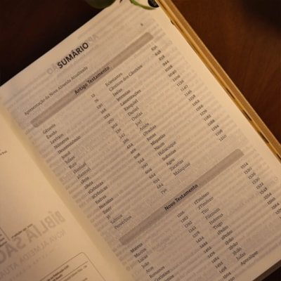 image_20d0ab41-0aed-495d-8e5a-f8909a807a76