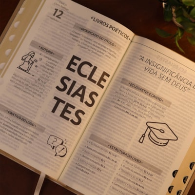 image_f537c4a1-361d-4ed6-9ca1-5b250126eb2a