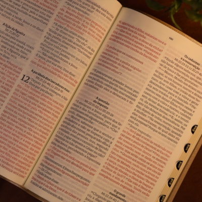 image_6693b80e-67ba-45a2-a5e2-0446ba724ec7