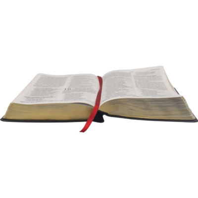 image_e5044534-750a-4191-8218-b308a56c6aca