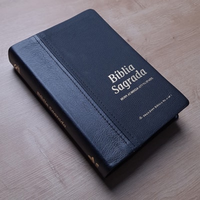 image_603ddb24-f811-4950-ab82-74073d078cbf