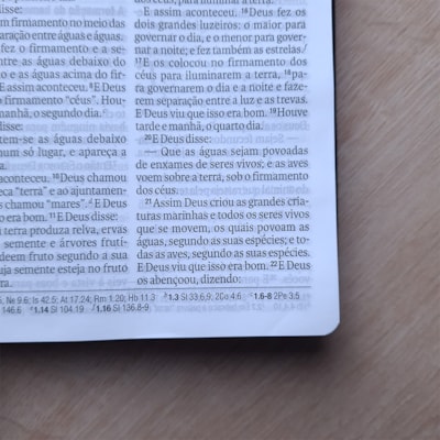 image_33ceb34b-d1e3-4d47-803d-9fe2a778ce45