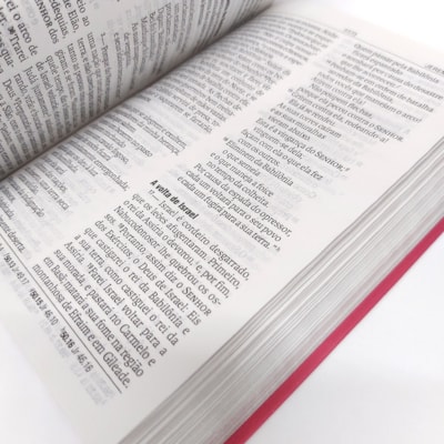 image_208b4340-8027-4365-ad0f-01783339dcd5