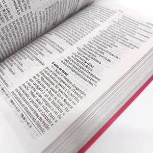Bíblia Sagrada | NAA | Letra Gigante | Capa Luxo Pink Flores